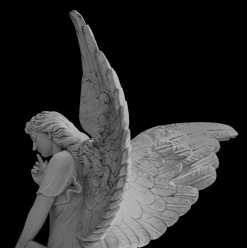 Angel Wings